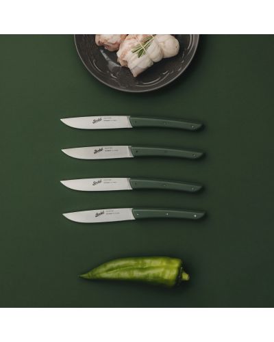 4er-Set Steakmesser COLOR Grün